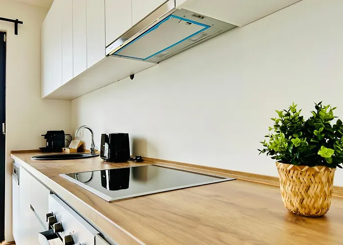 Διαμέρισμα Modern With Balcony & Free Parking - Near Metro Βιέννη